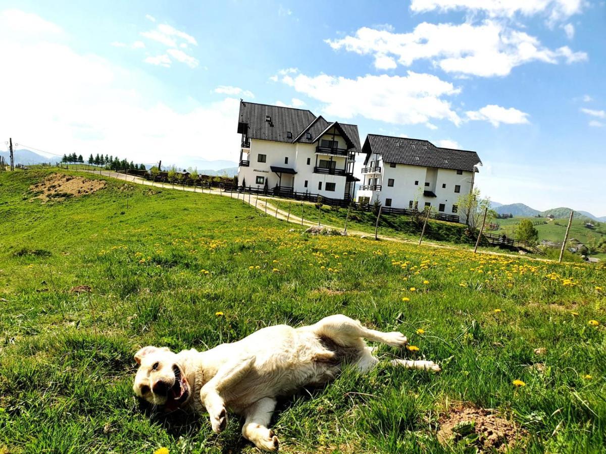 Pensiunea Soarelui Fundata Exterior foto